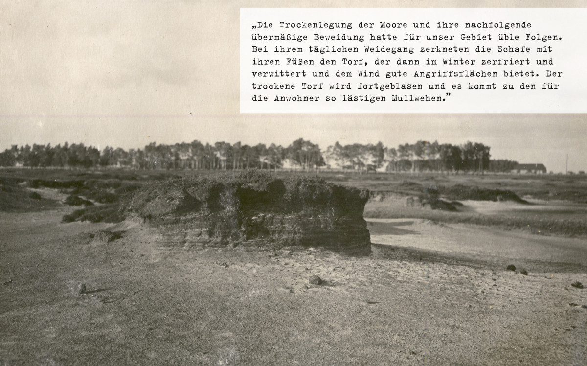 „Ausgewehter Moorrand, Rathlosen” (1926).